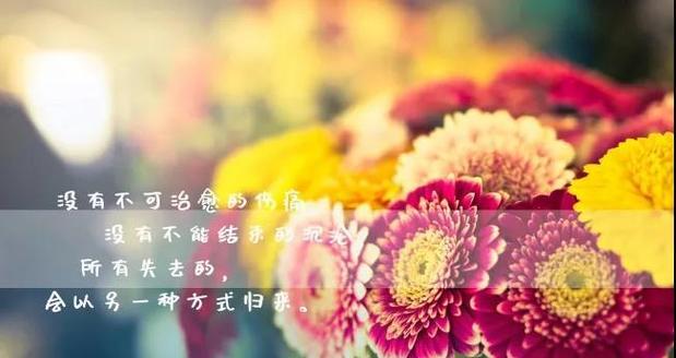 看淡爱情是什么意思（淡然如水，爱情如风）