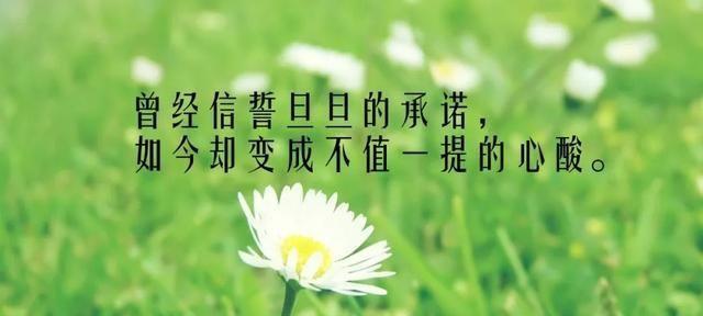 感恩幽默的朋友圈说说怎么写？（用幽默的心态感恩生活，收获快乐与幸福）