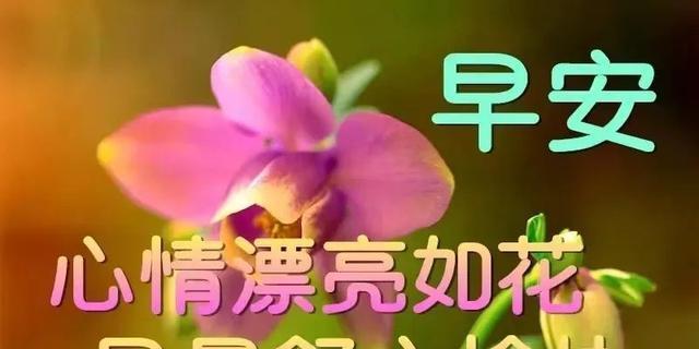 抖音新年说说句子好句怎么找？（新年说说句子好句——祝福在唇边）