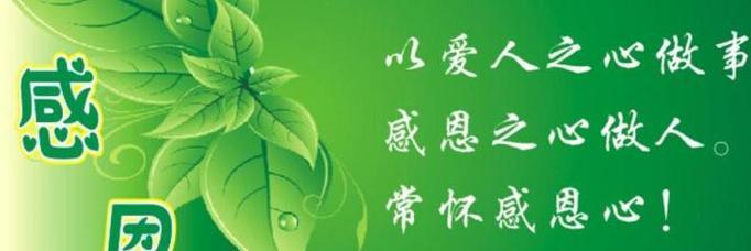 感恩生活的好句子有哪些？（感恩生活，美好从心开始——唯美句子大赏）