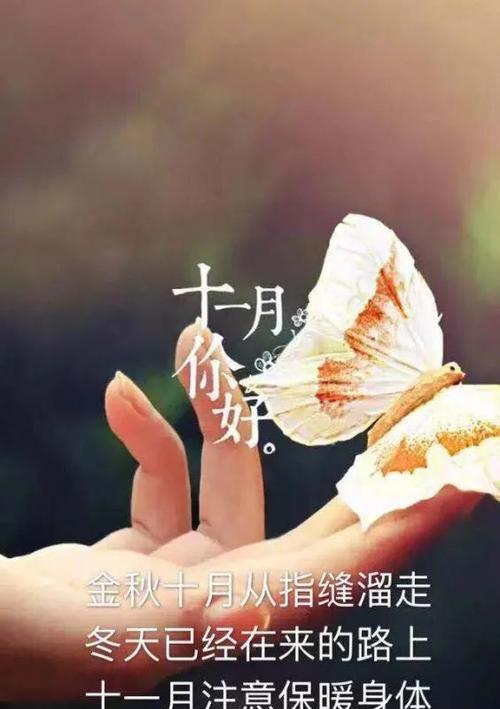 抖音迎接12月再见11月的句子好句有哪些？（跨越岁月，与抖音共舞）
