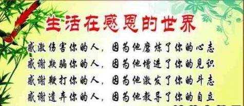 感恩的唯美好词好句有哪些？（珍惜生命中的每一份美好）