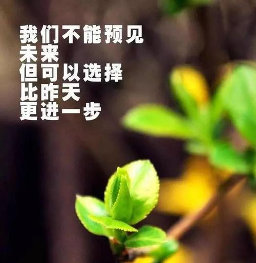 如何用正能量的句子激励自己？（敢于尝试正能量的句子）