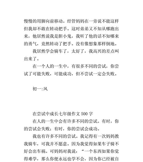 一次什么的尝试作文题目怎么写（《一次什么的尝试》）
