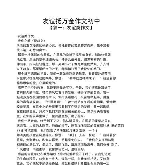 珍贵的友谊作文怎么写（《友谊之光》）