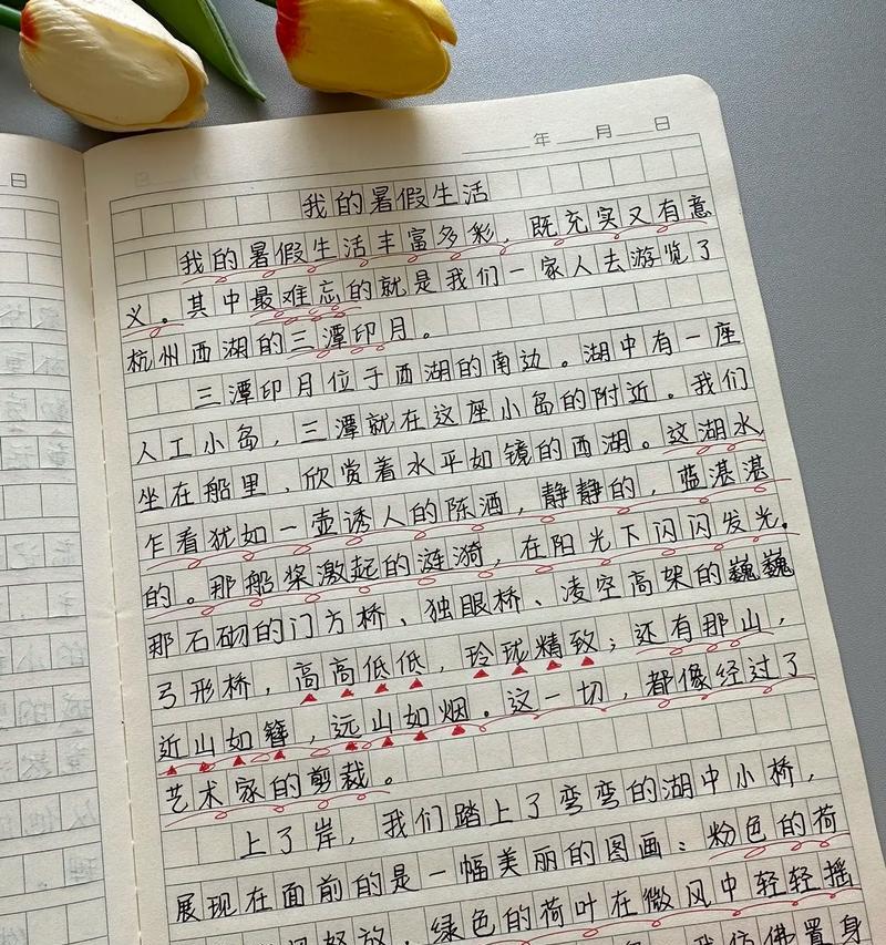 关于平常的日记怎么写（《平常的日子》）