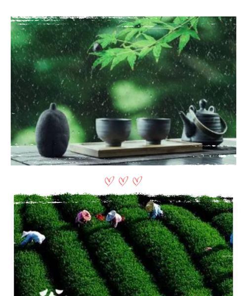 喝谷雨茶的寓意（《谷雨品茗，细数流年》）