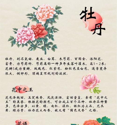 谷雨赏牡丹花（《春尽花如旧，谷雨赏牡丹》）