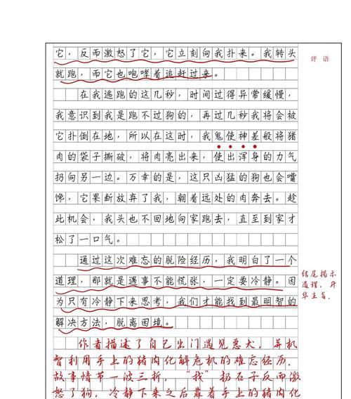 有关清明节作文评语和批注的作文怎么写（《清明节作文评语和批注》）