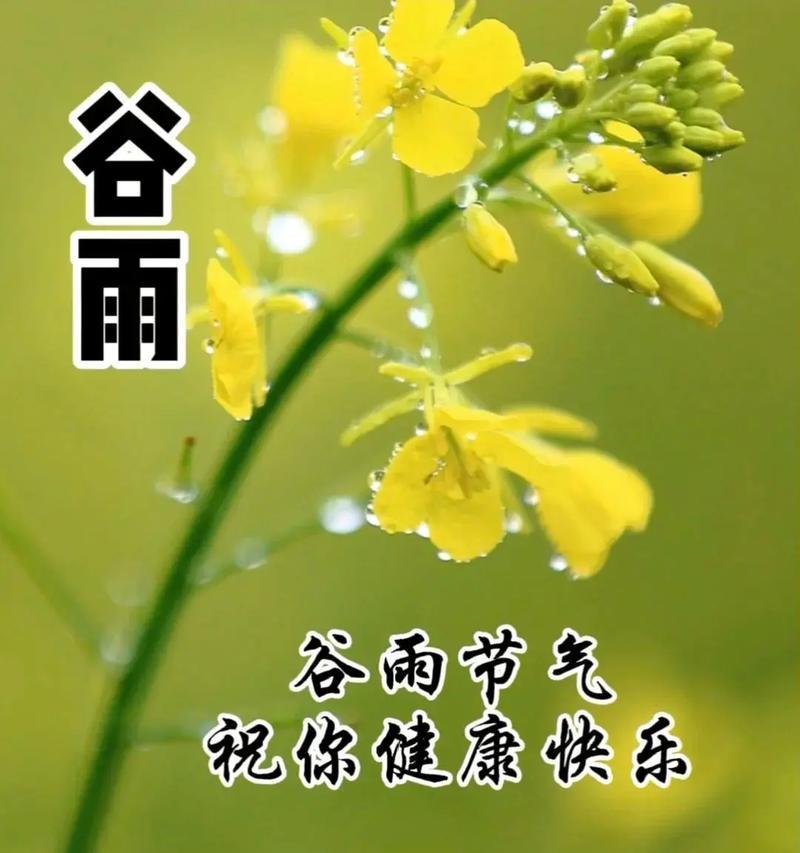 谷雨的好朋友是谁呀语录好句？（谷雨之韵：春尽夏始与吾友谈心）