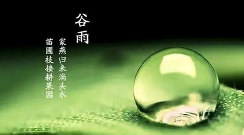 谷雨我在篁岭听雨句子好句是什么意思？（《篁岭听雨：雨润谷韵，诗意绵绵》）