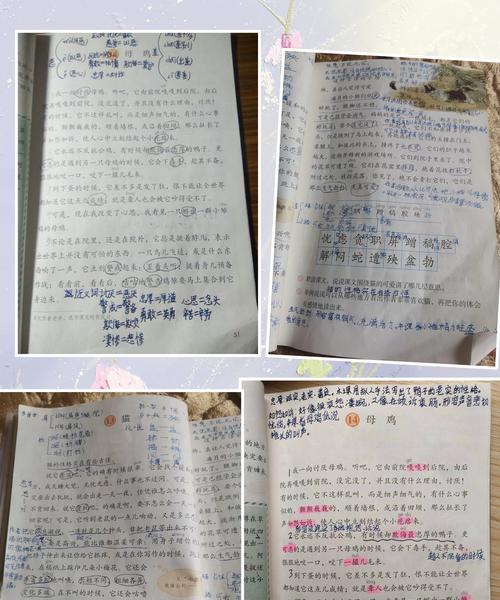 参观谷雨工厂观后感作文怎么写？（《谷雨工厂行：启迪心灵之旅》）