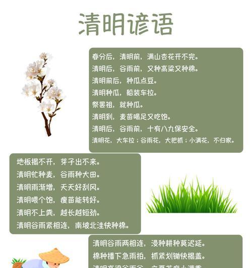关于清明节的植物（《翠柳依依，映清明》）