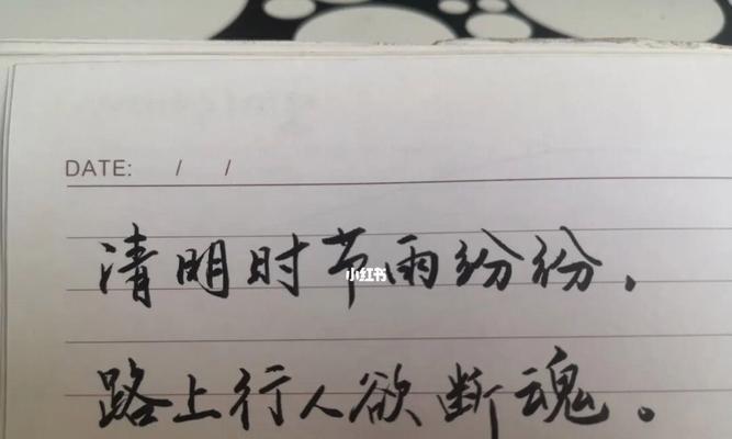 清明节感悟怎么写（《细雨纷纷中，折柳寄哀思》）