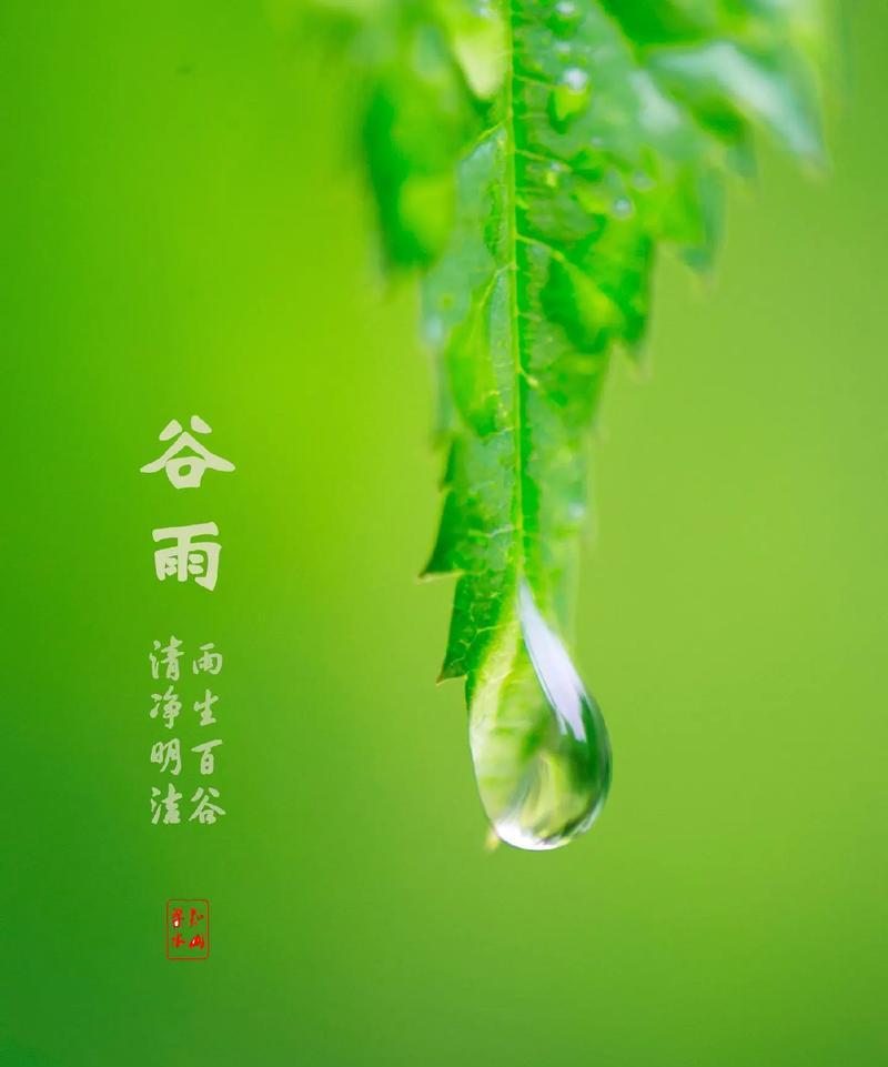 有关美丽的大自然谷雨怎么写金句的短句子（《谷雨润物细无声，古韵今风绘春浓》）