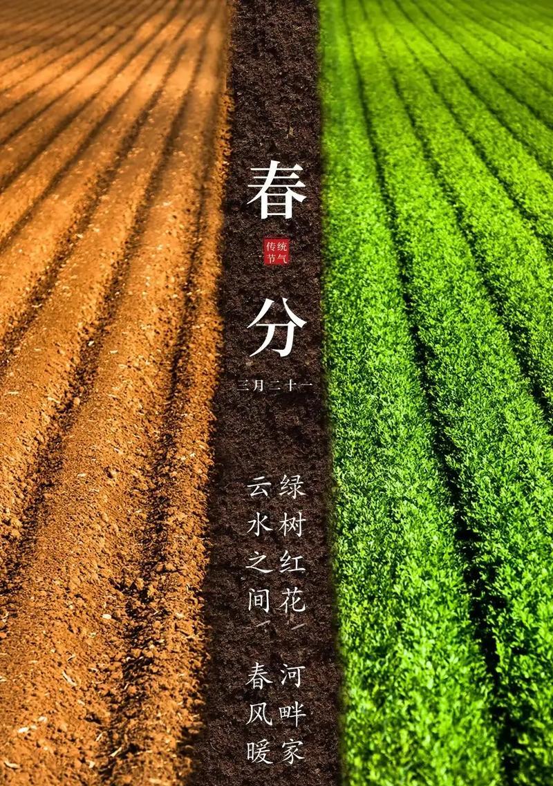 春分时节有哪些金句好句？（古韵悠扬节气美）