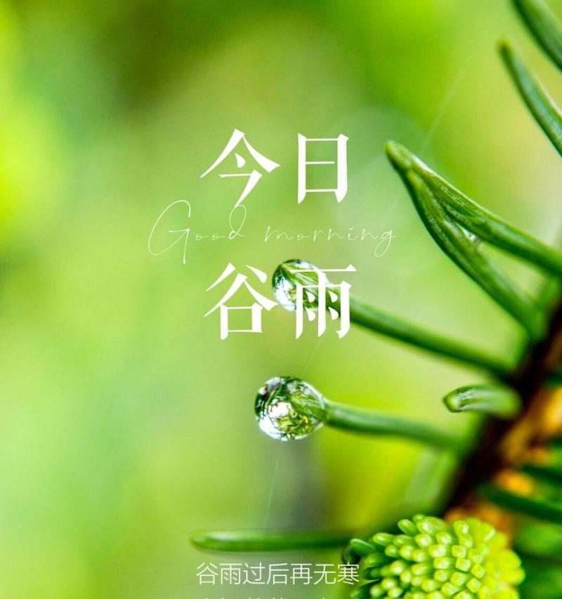 谷雨的好朋友毕业金句好句有哪些？（《谷雨香径送君行：毕业之季话友情》）