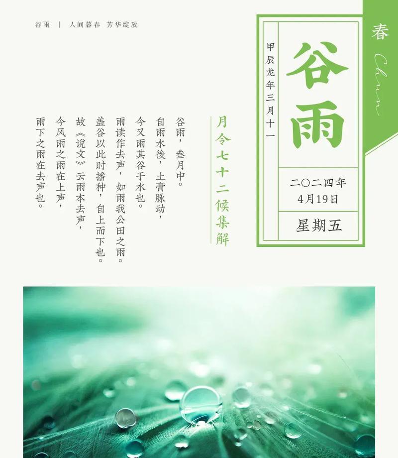 谷雨过后下雨怎么形容（《谷雨春光：万象更新的诗意画卷》）