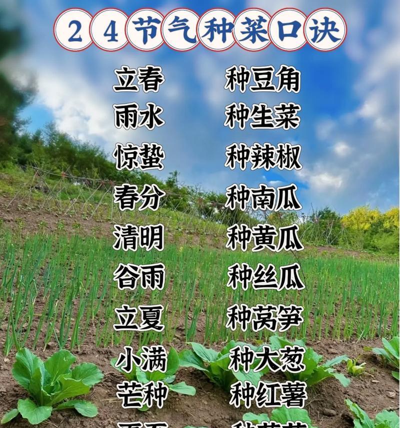 清明种菜的诗句（《清幽春意）