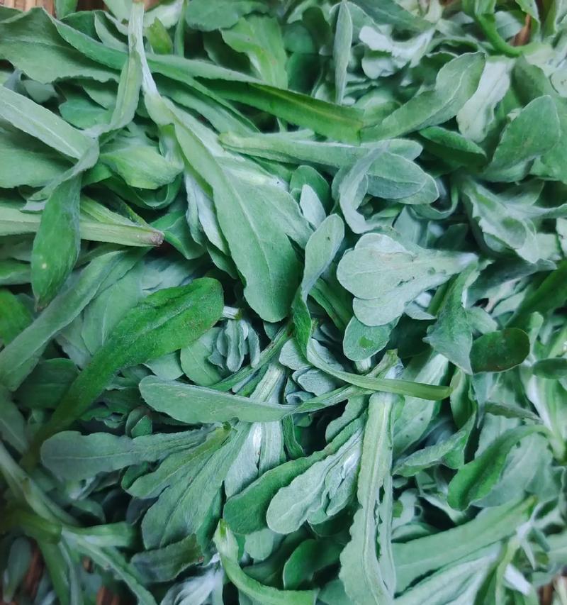 清明种菜的诗句（《清幽春意）