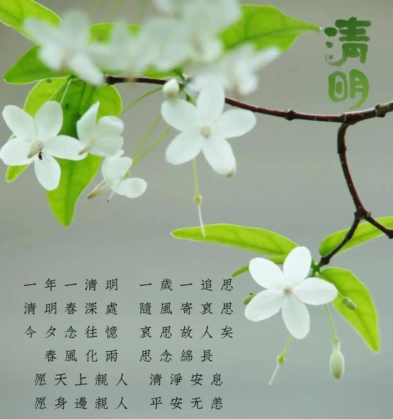 忆清明是什么意思（《以忆清明，心事如织》）