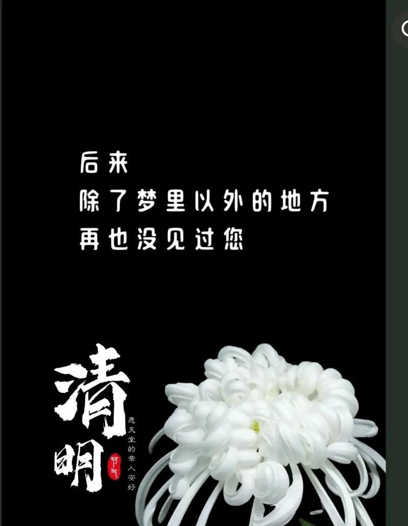 有关清明节我在想短句的句子怎么写（《寒食细雨中，清明思绪长》）