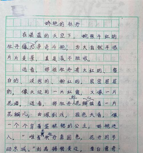 谷雨赏牡丹有什么寓意（《谷雨时节的牡丹之约》）