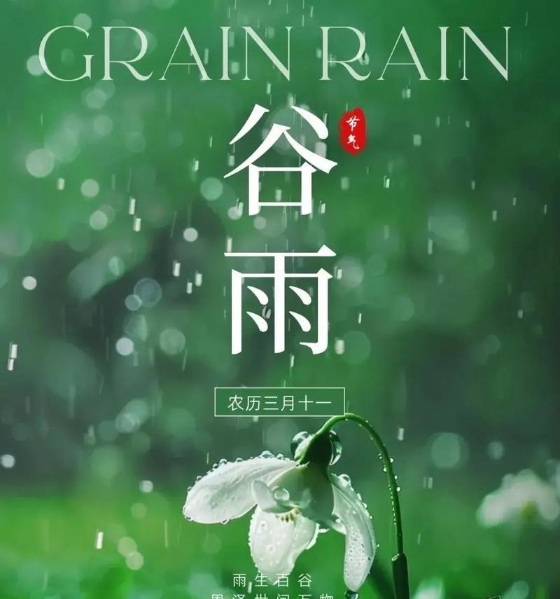 谷雨擂茶的功效与作用（《谷雨擂茶：细品春意盎然》）