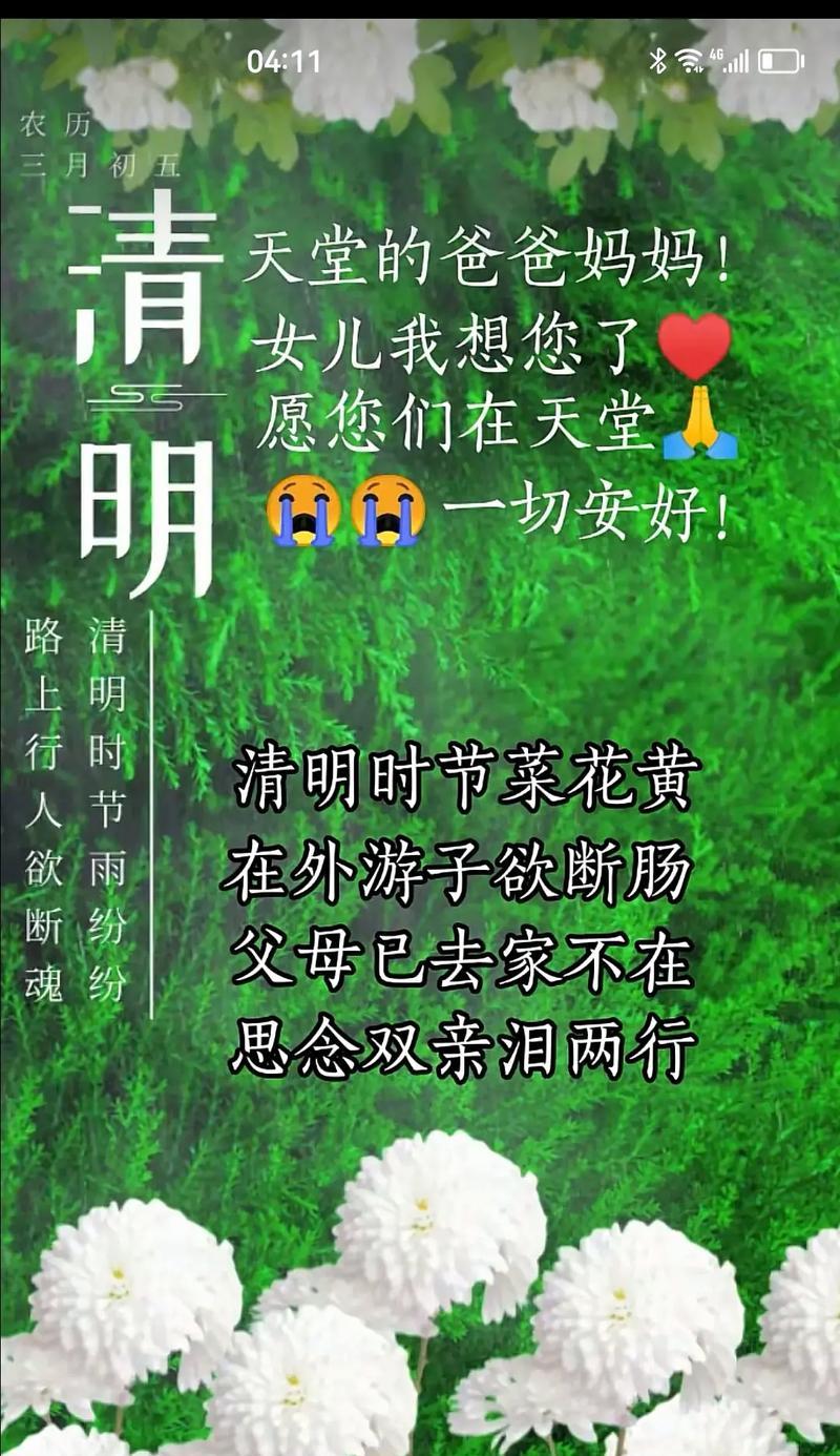 清明的情怀怎么写（《清明忆亲：翠柳依依话思念》）