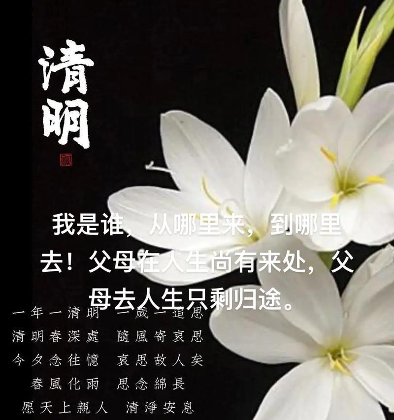 清明感恩的意思（《清明之思：春风化雨，感恩时光》）