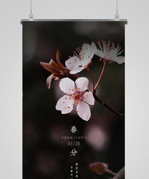 春分时节高中语录好句有哪些？（春分时节话花信）