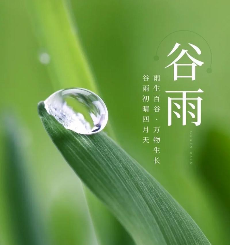 谷雨时节下雨的优美句子有哪些？（《谷雨润物细无声》）