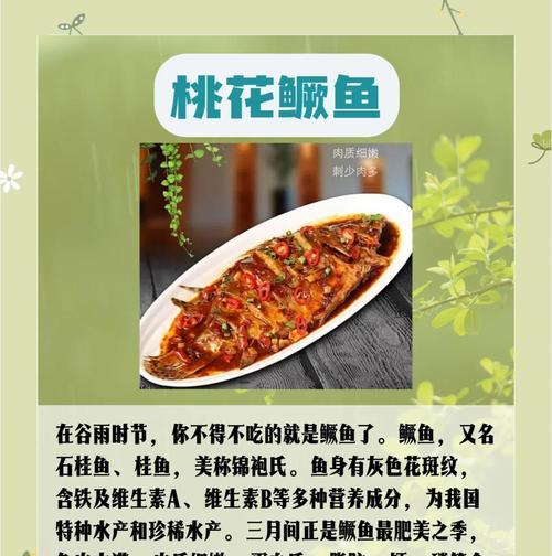 有关谷雨节气美食做法金句的短句怎么写（《谷雨润心脾，美食赋雅意》）