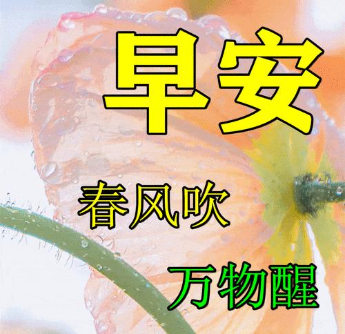 春分时节如何挑选祝福语？（《春分时序，墨香祝福》）
