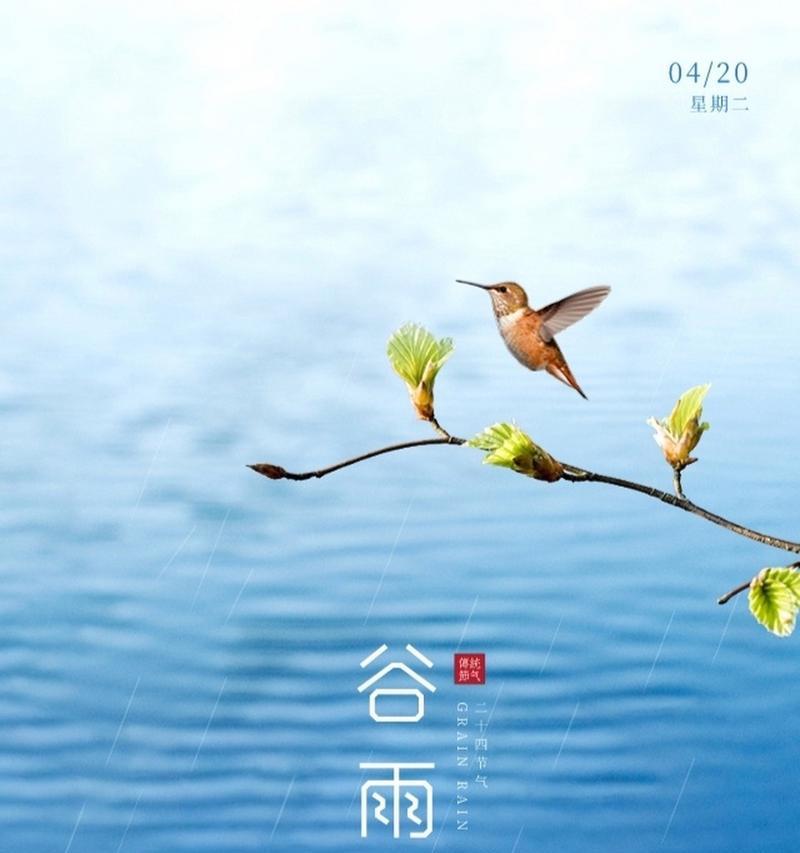 谷雨时节哪里风景最佳？（翠雨润花，谷雨时节的诗意栖居）