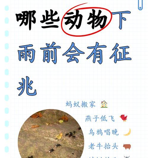 谷雨动物植物有什么变化（谷雨时节：萌动的生灵与诗意的和鸣）