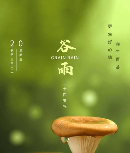 有关谷雨怎么写可爱的语录的句子（《雨润花开：谷雨之语，绘传统文化之韵味》）