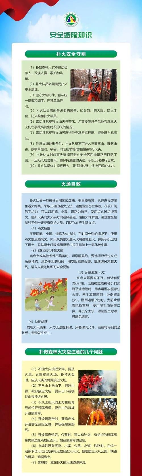 清明节如何做好防火措施？（《清明细雨中，守望绿野无火》）