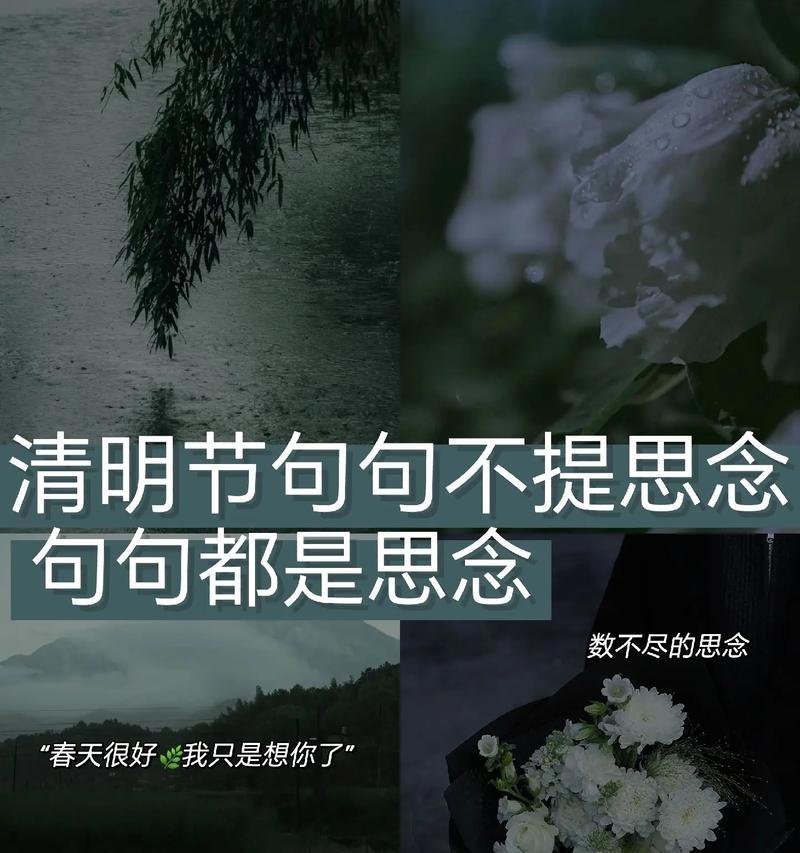 清明感怀是什么意思（《青青子衿，悠悠我心——清明时节的感怀》）