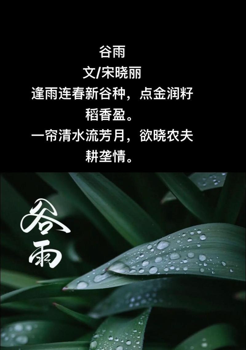 听谷雨音乐写句子技巧有哪些？（《听雨抚琴声，谷雨添雅韵》）