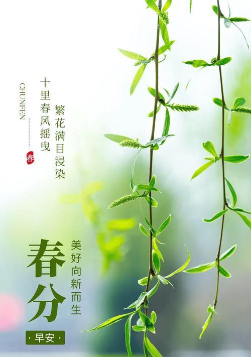 江西中考满分春分句子好句有哪些？（《春分之句，万物生长》）