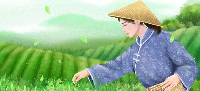 有关谷雨摘茶的过程摘抄的短句怎么写（《谷雨摘茶录》）