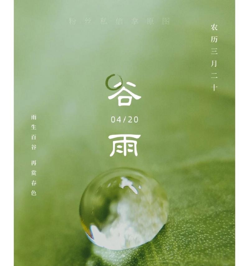 谷雨公司避雷工作文案作文怎么写？（《智慧之光：谷雨公司避雷行动中的青春力量》）