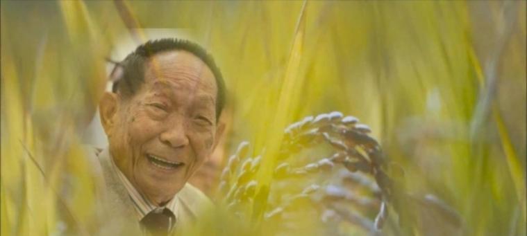 清明节怀念袁隆平的优美句子有哪些？（《清风细雨忆袁公》）