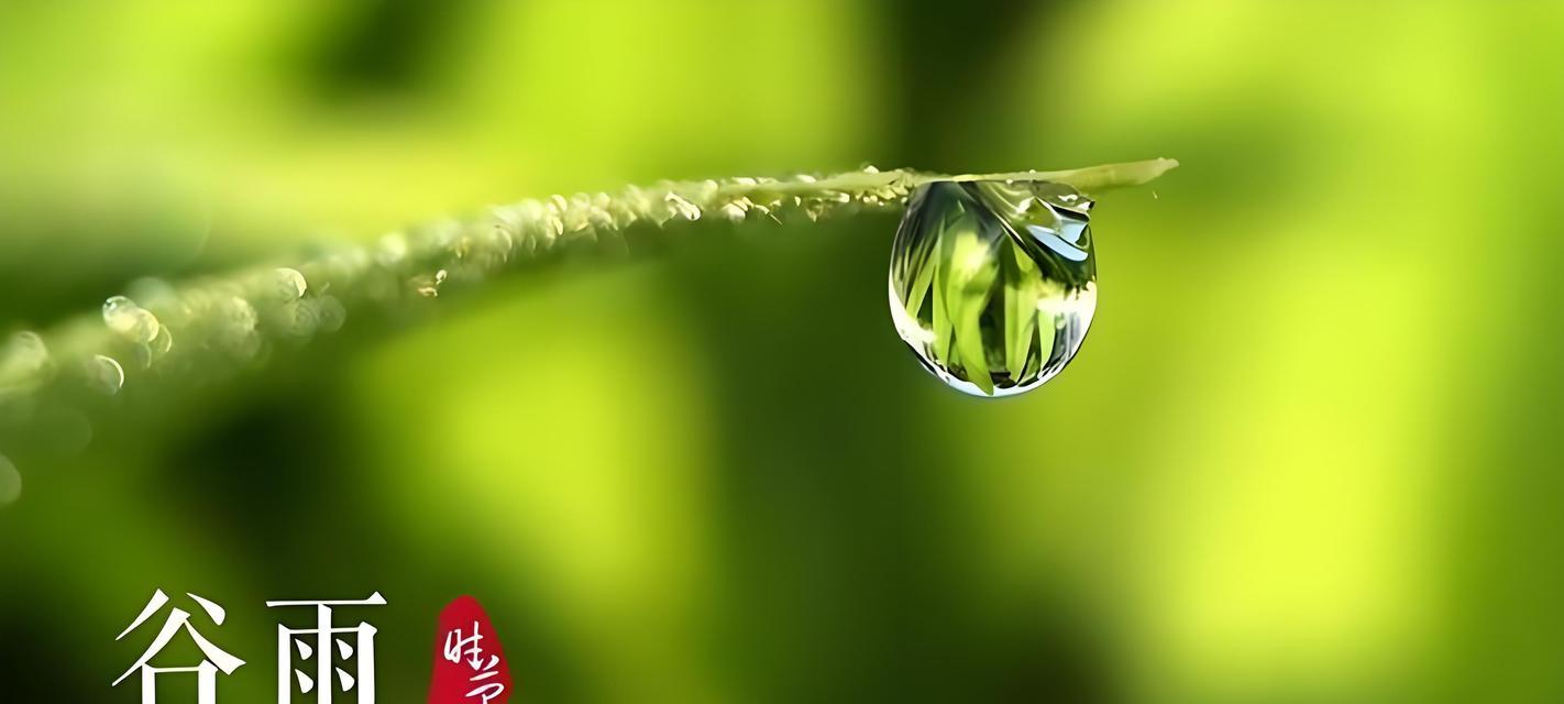 有关谷雨的虫子怎么写摘抄的句子三年级（《谷雨细语：虫鸣中的诗意栖居》）