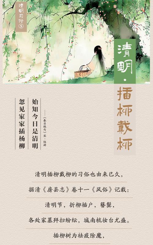 清明插柳枝的寓意（《清明柳絮飘香时，细数时光情绵绵》）