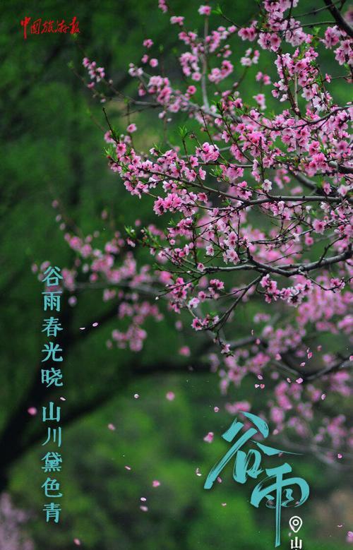 谷雨之景语录好句有哪些？（《谷雨润心田，墨香书卷长》）
