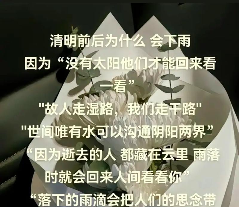 关于清明节的开头结尾怎么写（《细雨中飘落的古典情韵》）