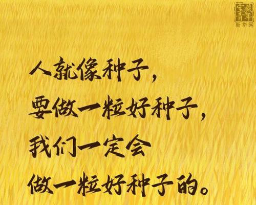 清明节如何表达对袁隆平的思念？（《清风细雨忆稻神，缅怀袁公话桑麻》）