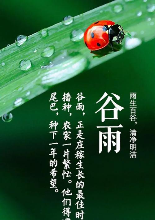 谷雨时节的金句好句有哪些？（《谷雨润华年，物语古风流》）